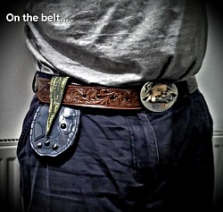 Belt, storage, holster